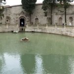 peschiera